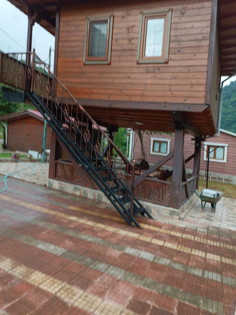 Saklı serender photo 1