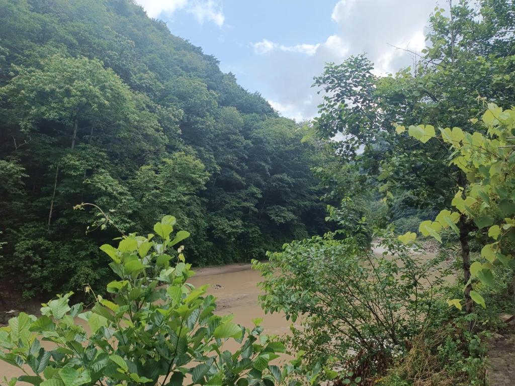 Saklı serender photo 2