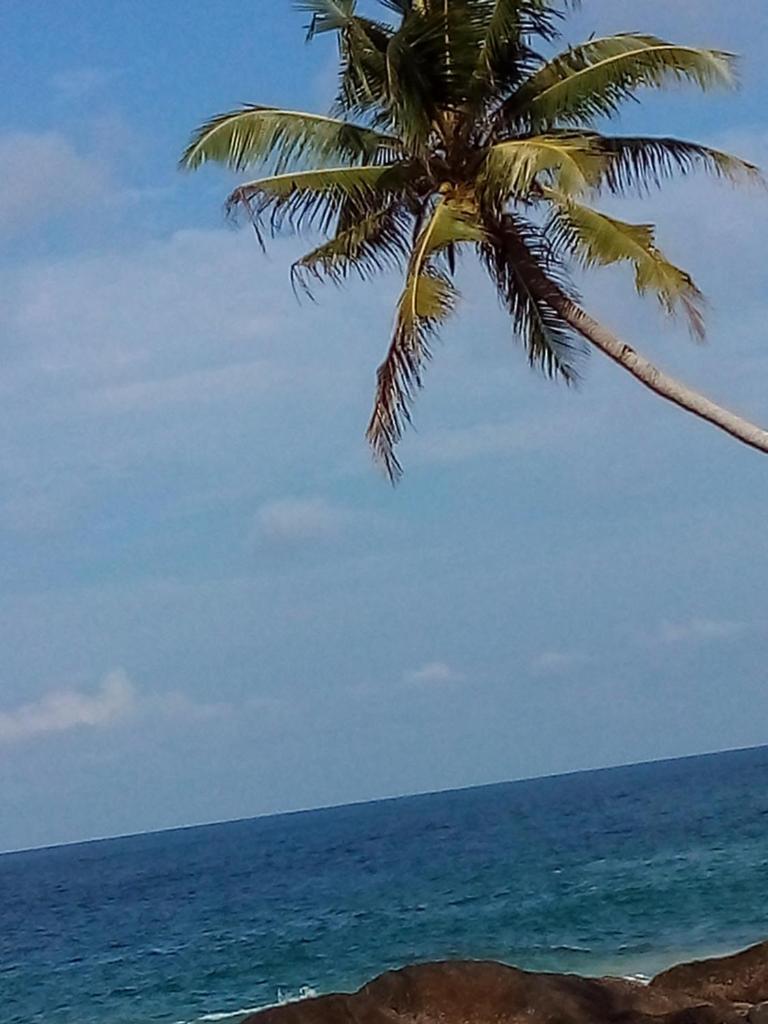 Thanu Beach Villa photo 4
