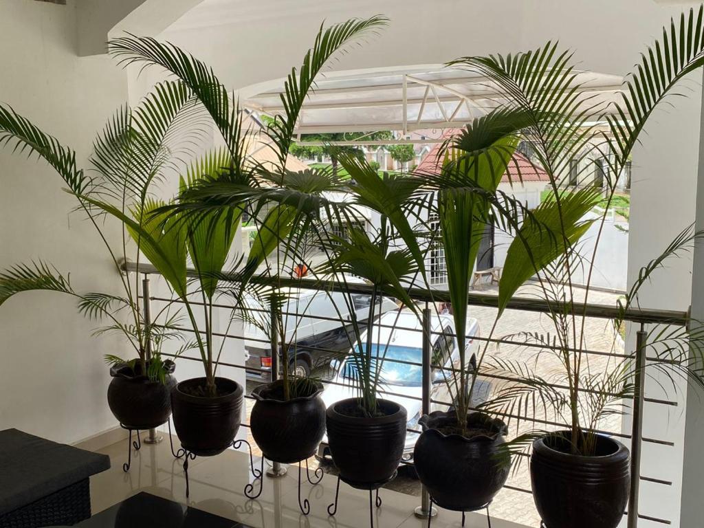 AMPLACE Luxury Apartment