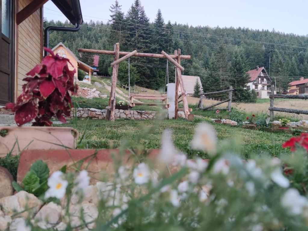 Brvnara Dolina jela photo 1
