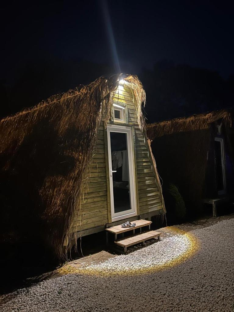 ZEN BUNGALOV photo 2