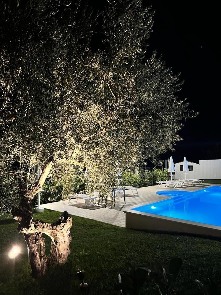 Agriturismo Il Casolare Di Nonno Mario photo 1