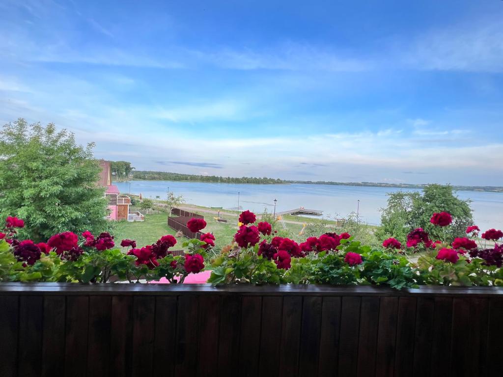 Lakeview Retreat in Vievis photo 2