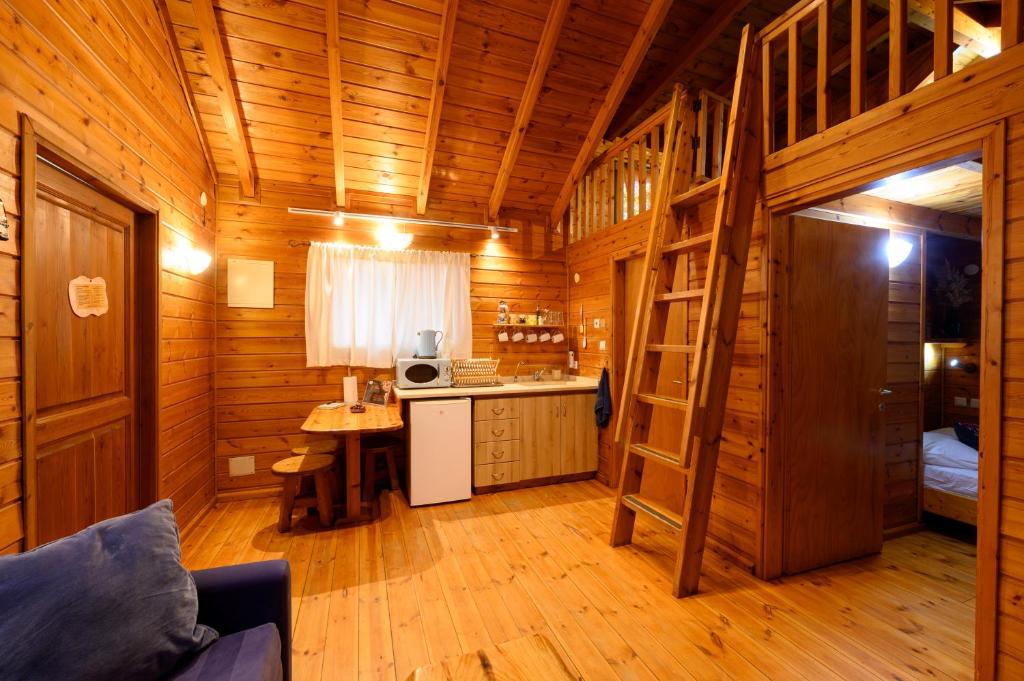 Belfer's Dead Sea Cabins photo 3