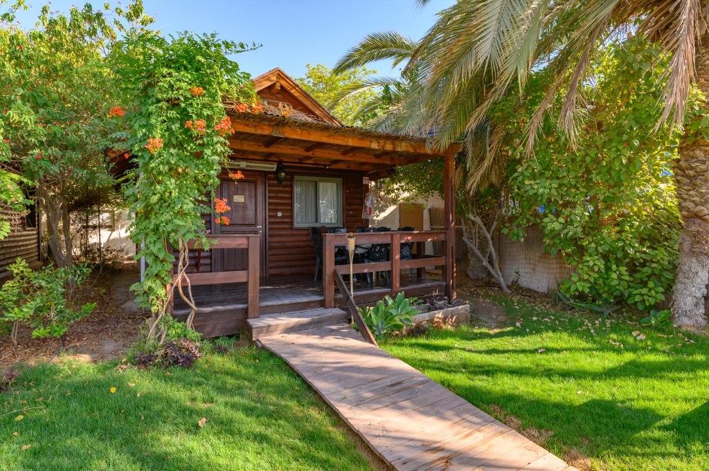 Belfer's Dead Sea Cabins photo 1