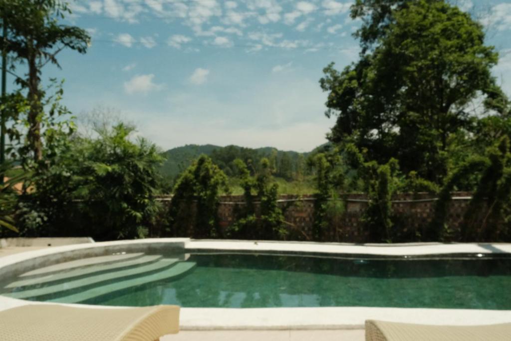 Rose house - homestay trong rừng photo 3