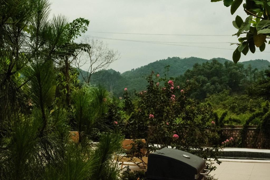 Rose house - homestay trong rừng photo 4