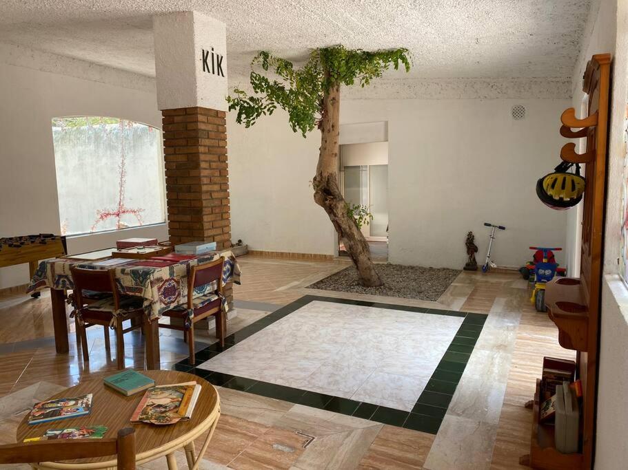 Masía con bosque privado