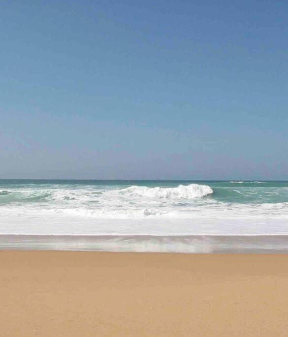 Agradable casa de playa con piscina. El Palmar photo 4