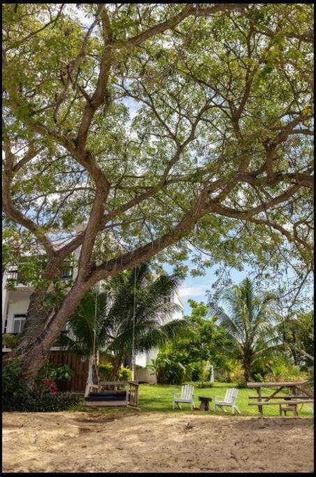 Ivy's Cove Beach Side Condo - Luxury Villa photo 1