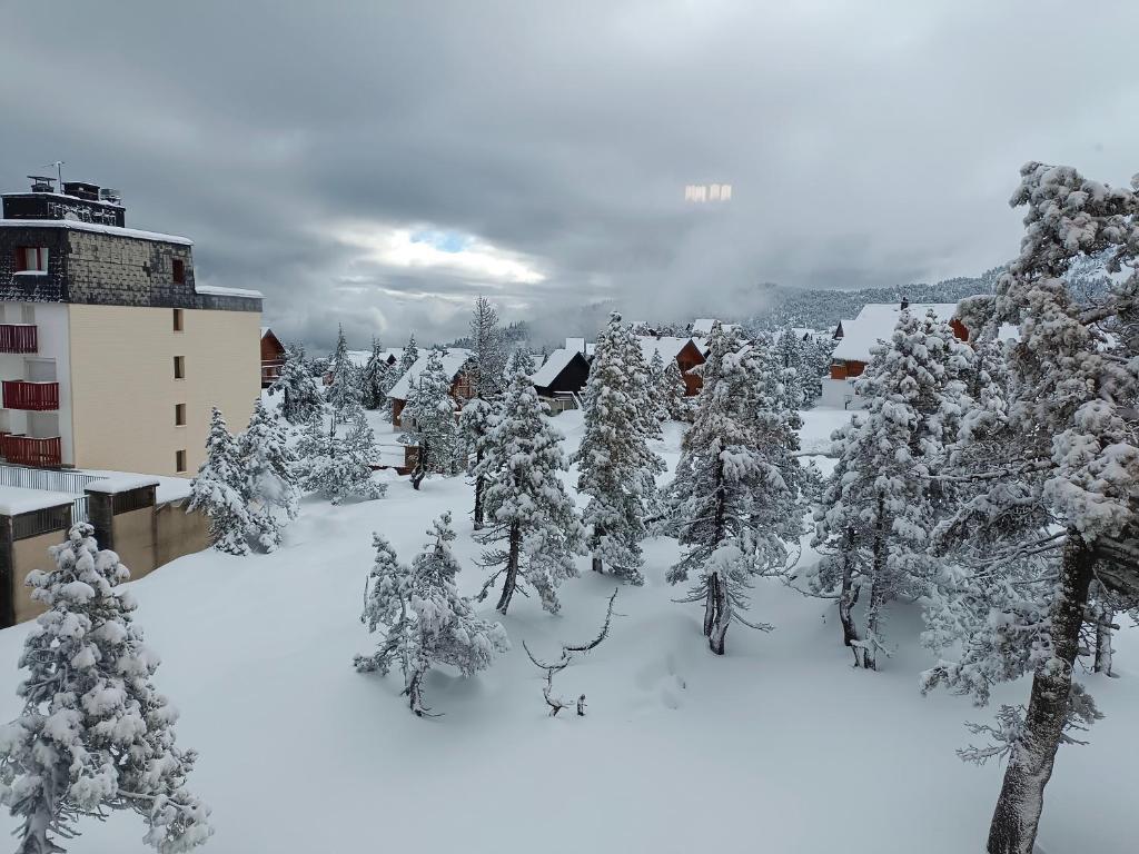 Les myrtilles La Pierre Saint Martin photo 4