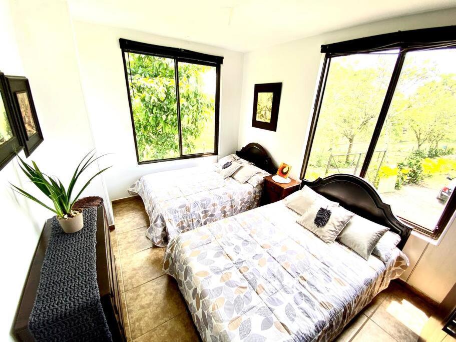 Finca Hotel Casa Blanca photo 3