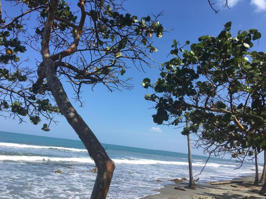 La lila photo 1