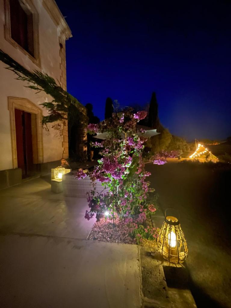 La Bellonette photo 1