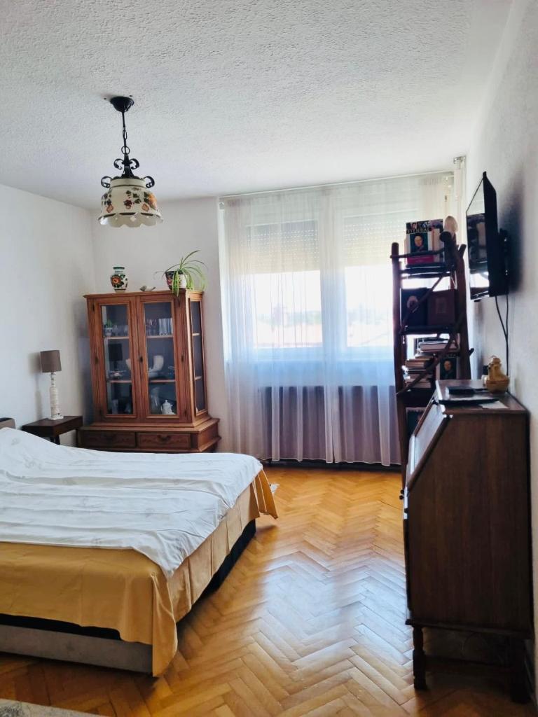 Cosy apartment in Subotica, city center photo 1