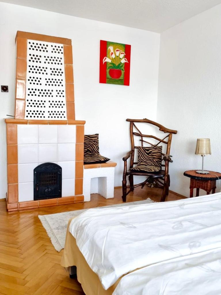 Cosy apartment in Subotica, city center photo 4