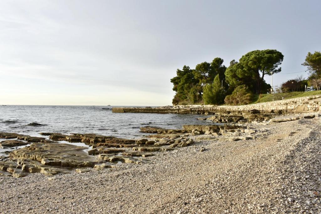 Apartments by the sea Savudrija, Umag - 20295 photo 3