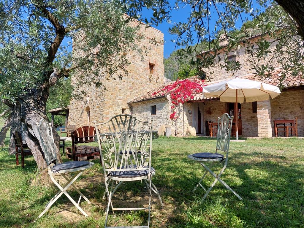 Pietra Antica photo 4