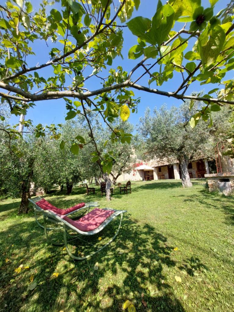 Pietra Antica photo 3