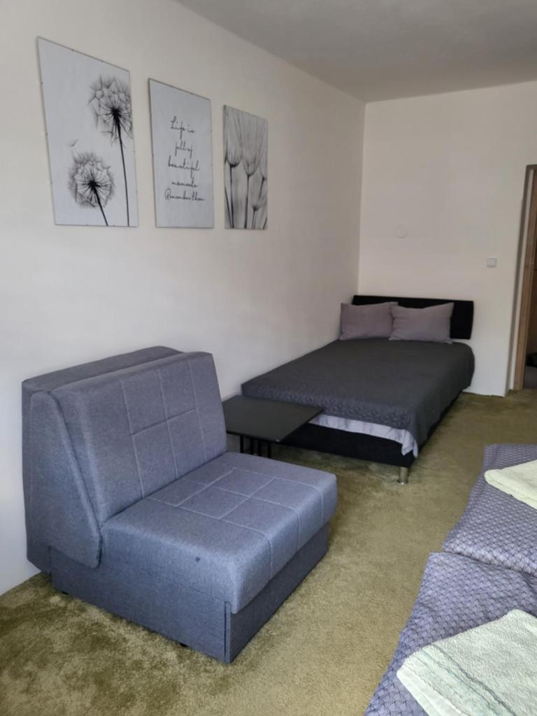 Apartmán DANY Hanušovice photo 4