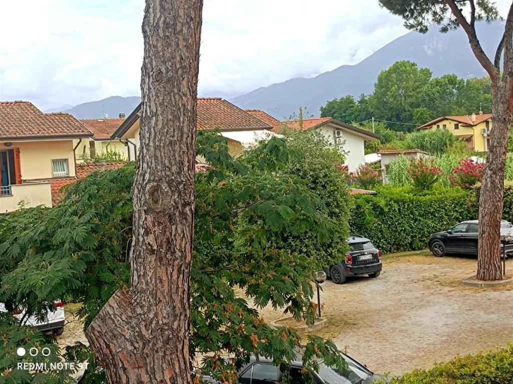 COMODO APPARTAMENTO VERSILIA photo 3