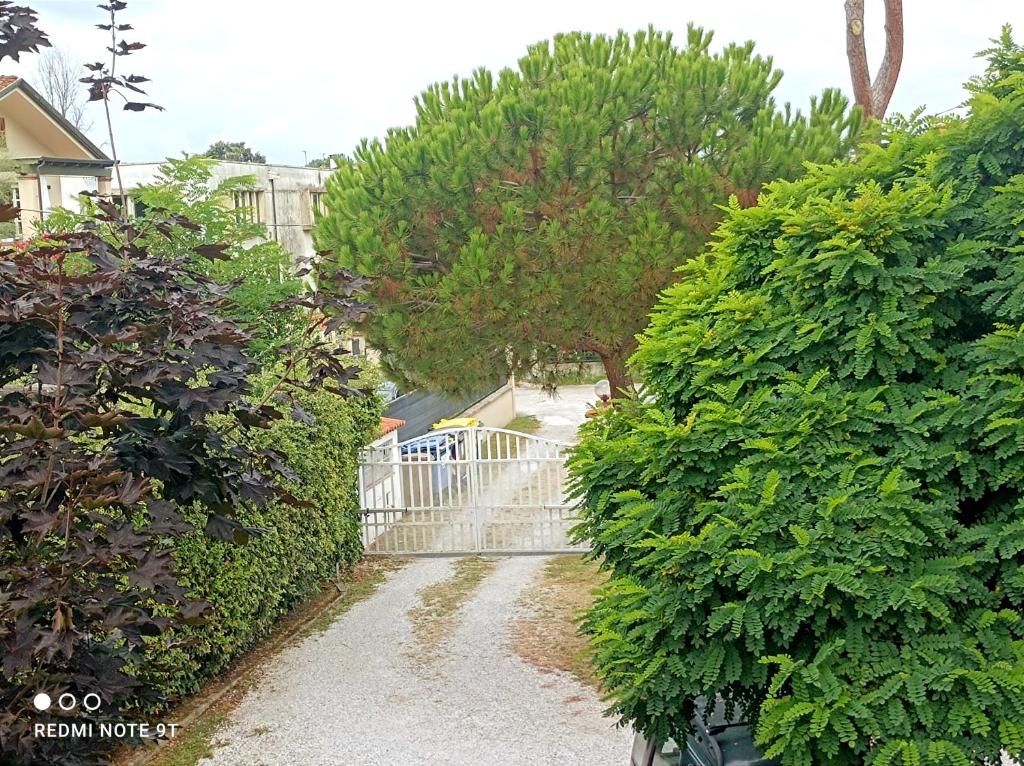 COMODO APPARTAMENTO VERSILIA photo 2