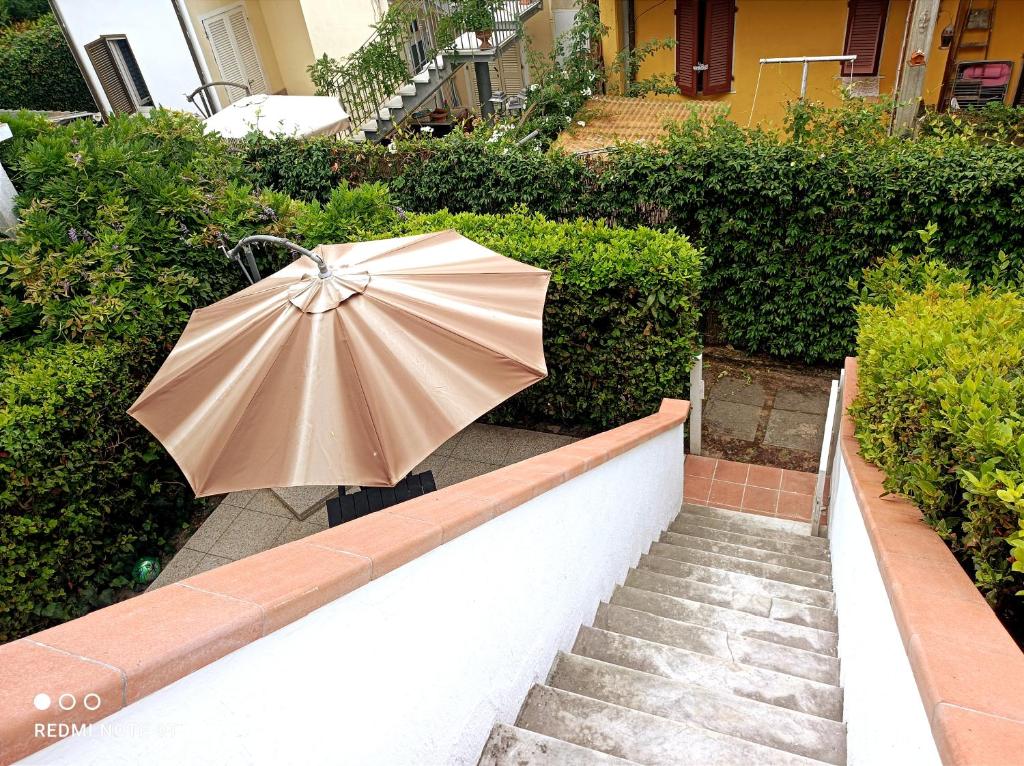 COMODO APPARTAMENTO VERSILIA photo 4