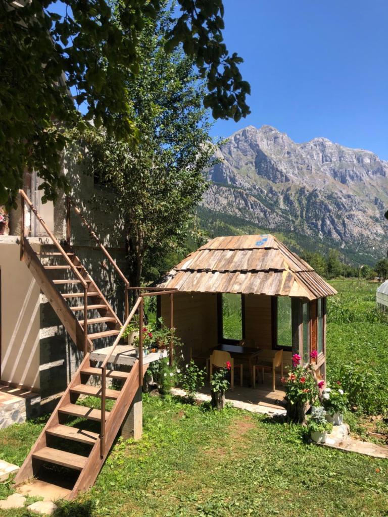 Guest House Ledio photo 1