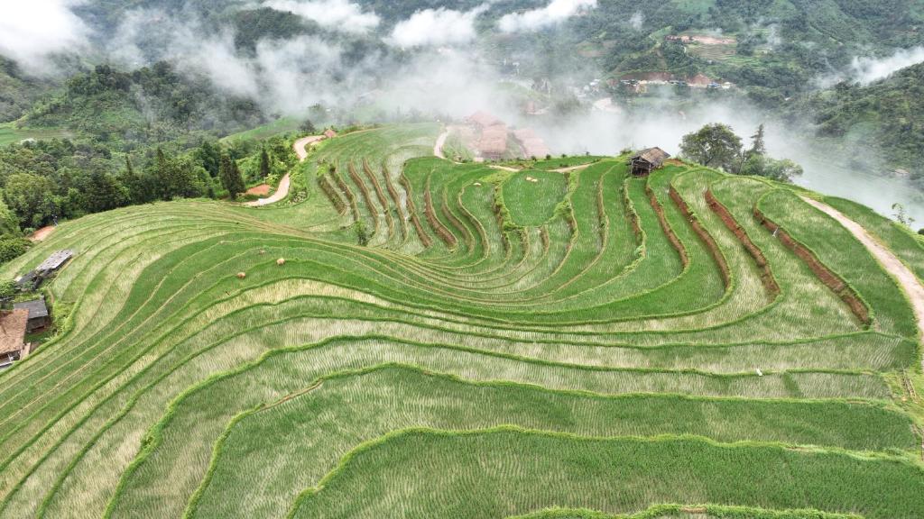 Móng Ngựa homestay - Hoàng Su Phì