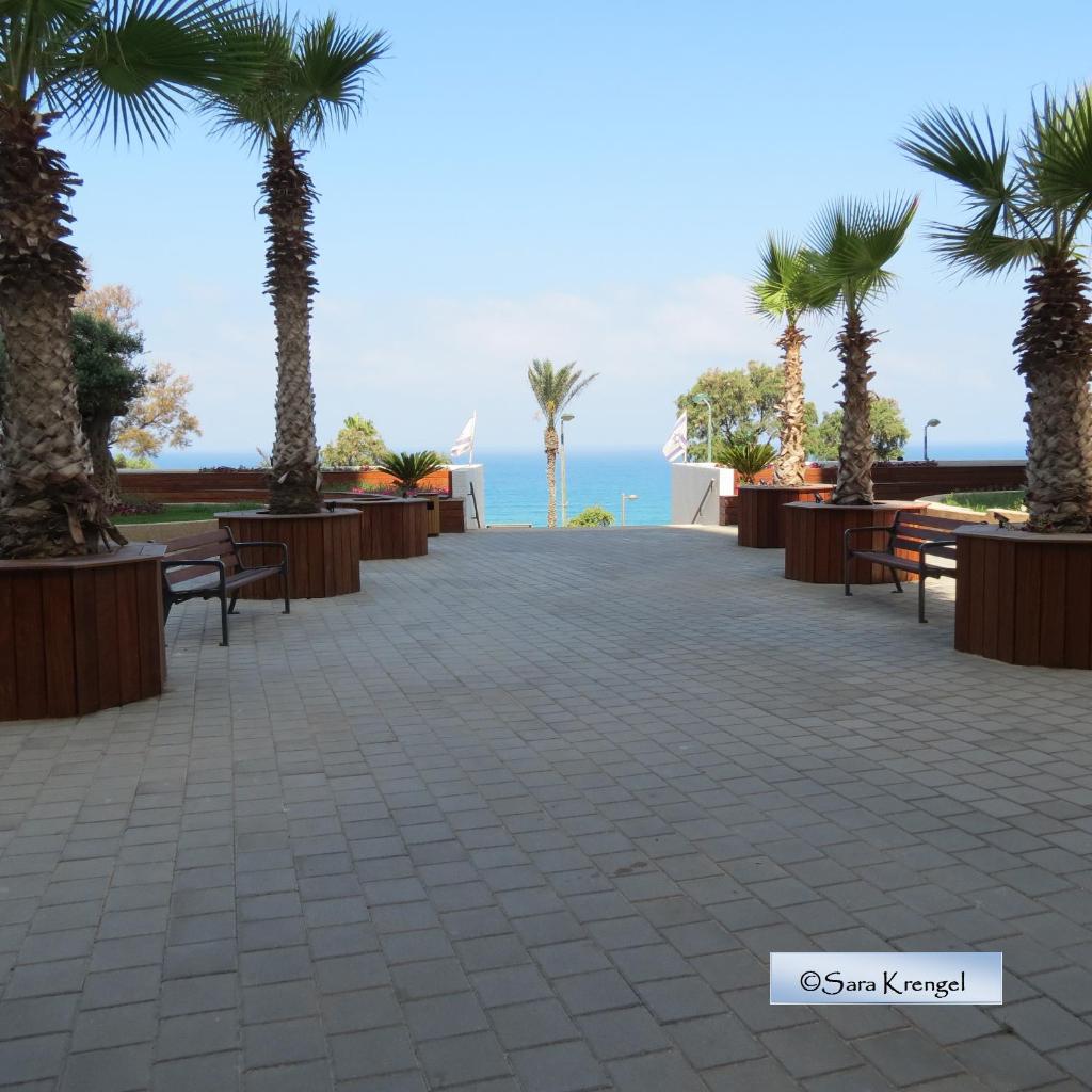 Nitza Seaview Apartments photo 1