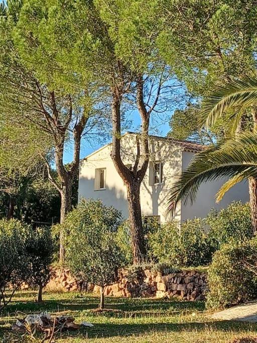 Bastidon indépendant photo 2