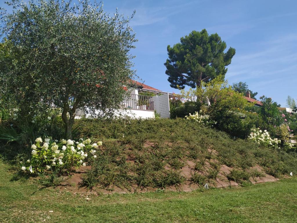 Casa Fellini photo 2