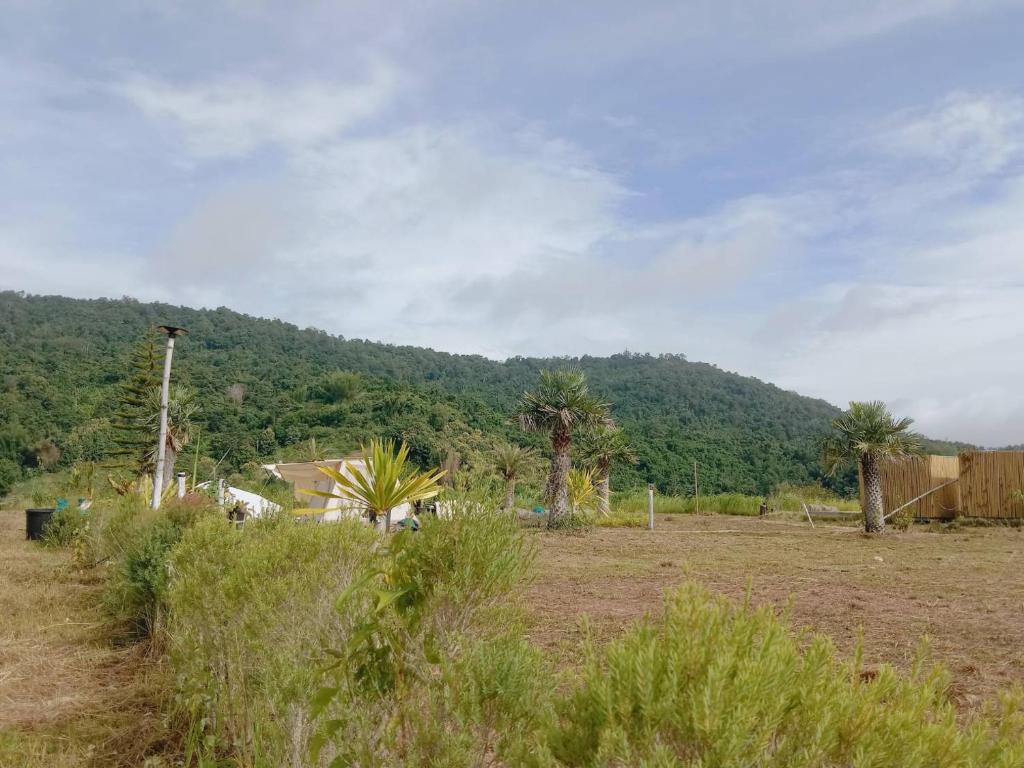Yafin khaokho Camping photo 4