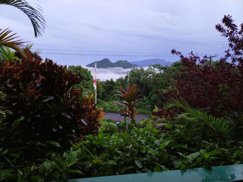 Trois Piton Apartments photo 4