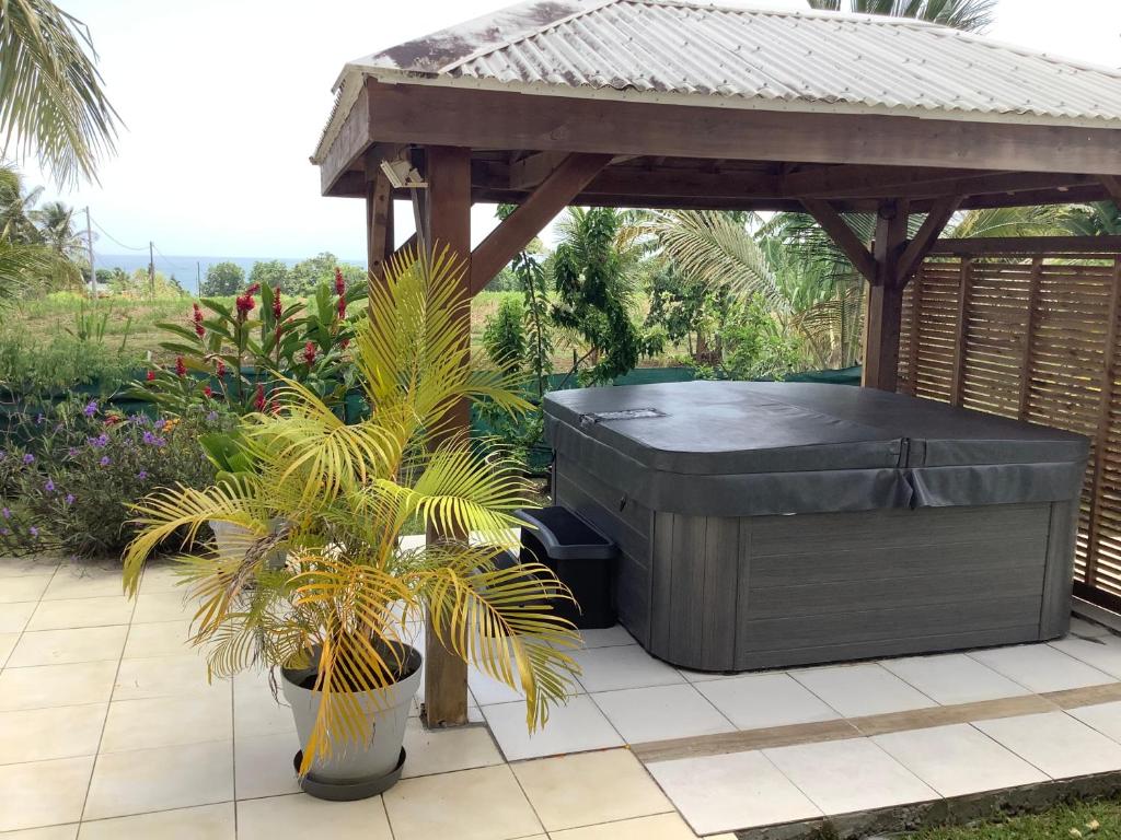 VILLA ALIZEE APPARTEMENT 2 photo 4