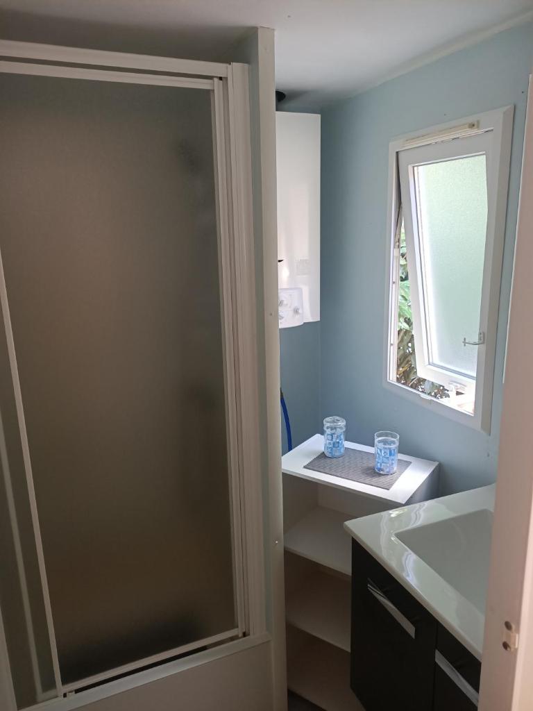 Mobile Home photo 2