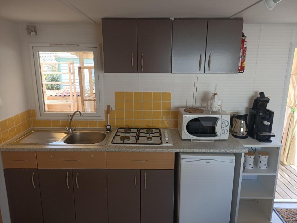 Mobile Home photo 1