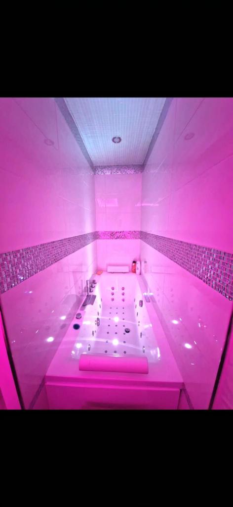 Bron centre appartement meublé avec jacuzzi photo 2