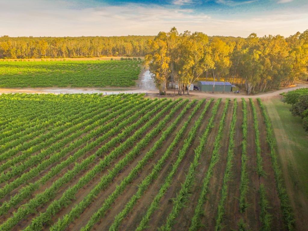 Cape Horn Vineyard 5 Bedroom Riverfront House on Working Vineyard photo 2