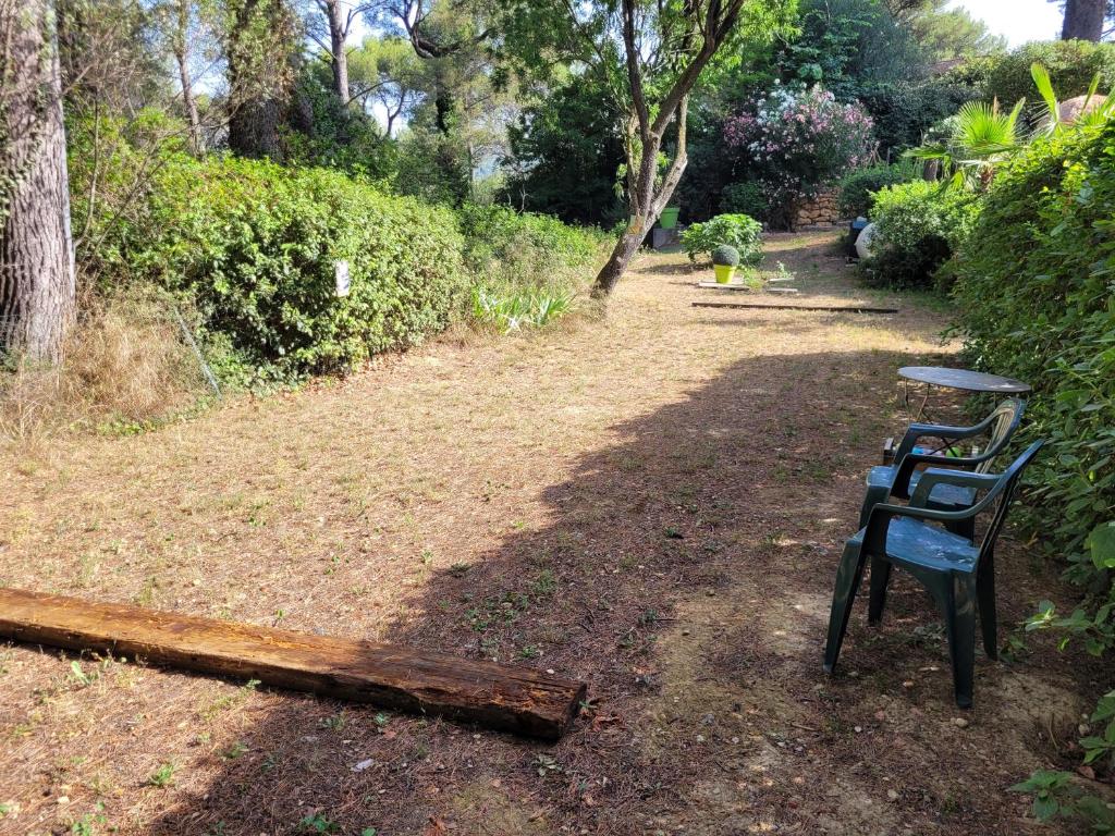 UN OASIS EN PROVENCE photo 4
