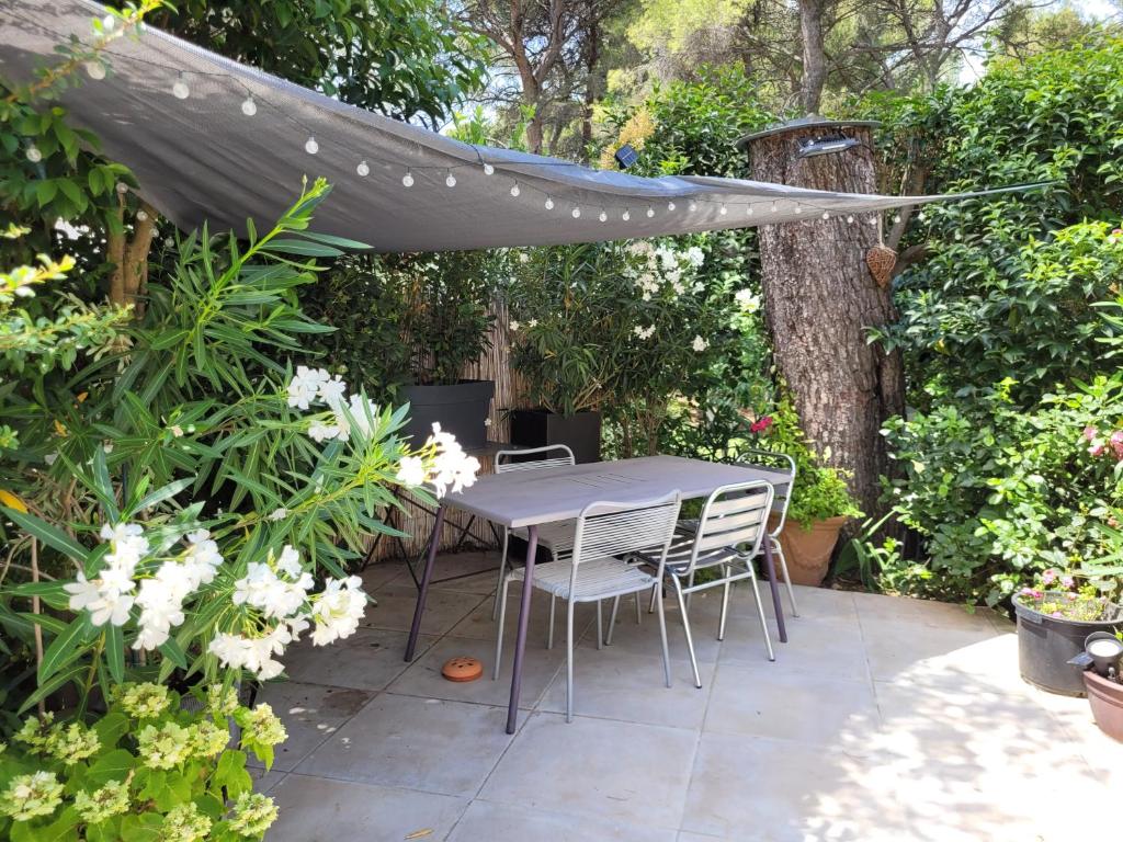 UN OASIS EN PROVENCE photo 2