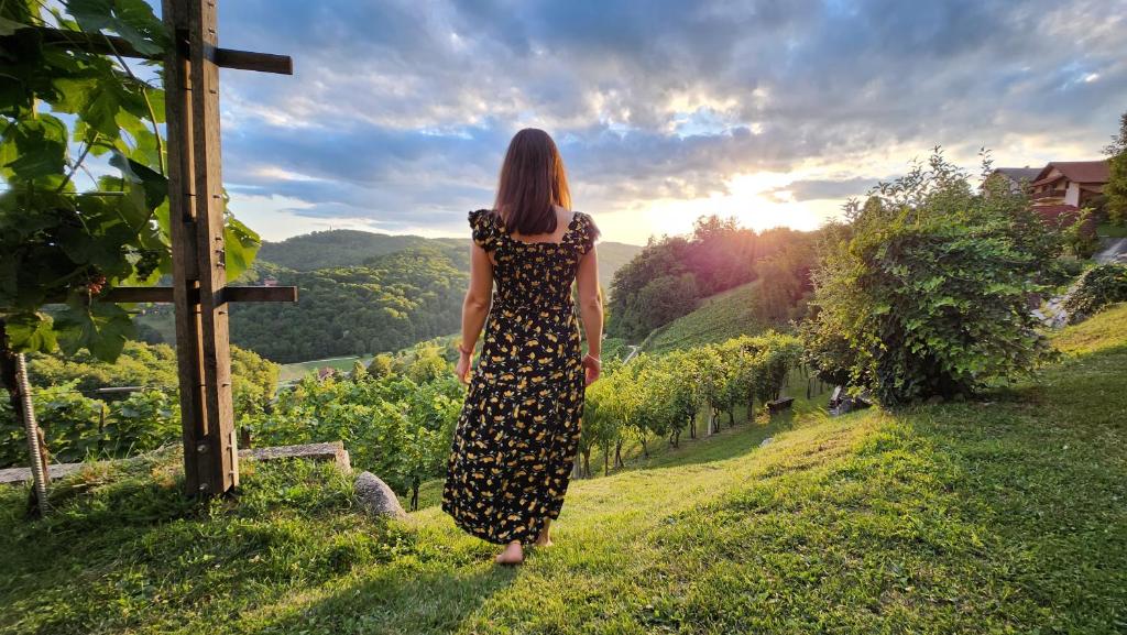 Vineyard cottage Podržaj photo 2