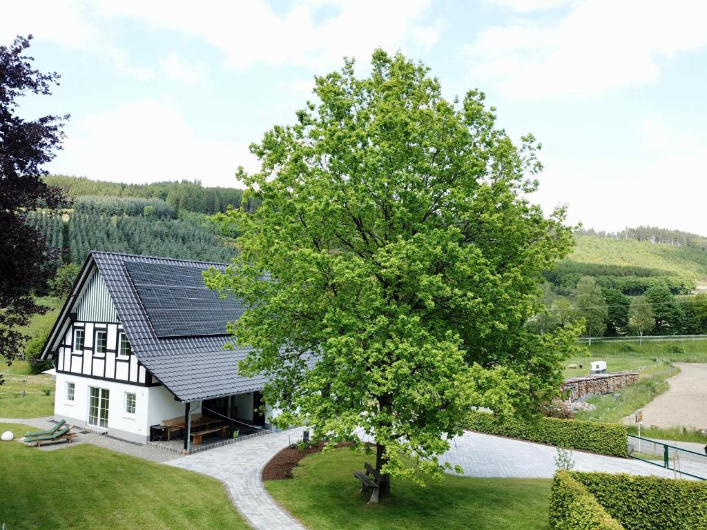 Ferienhaus Fichtenhütte photo 1