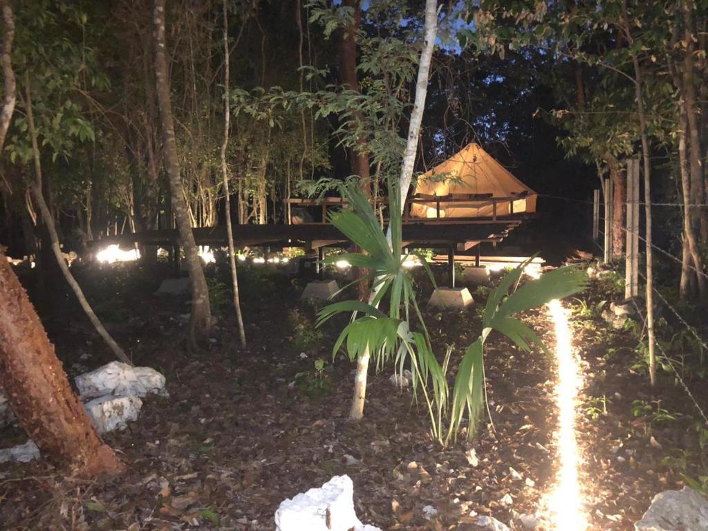 Cozumel Glamping photo 4