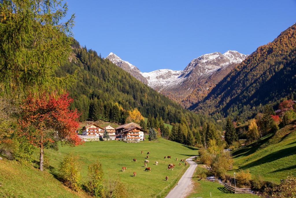 Alpegger photo 2