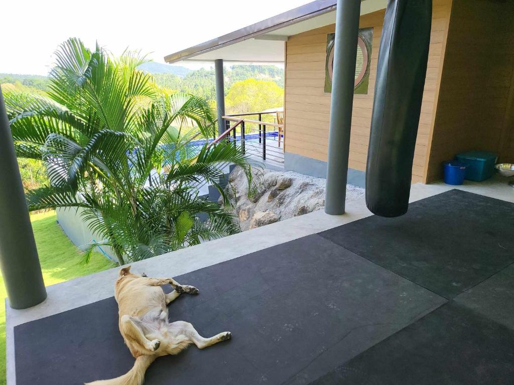 Lost paradise 2 photo 3