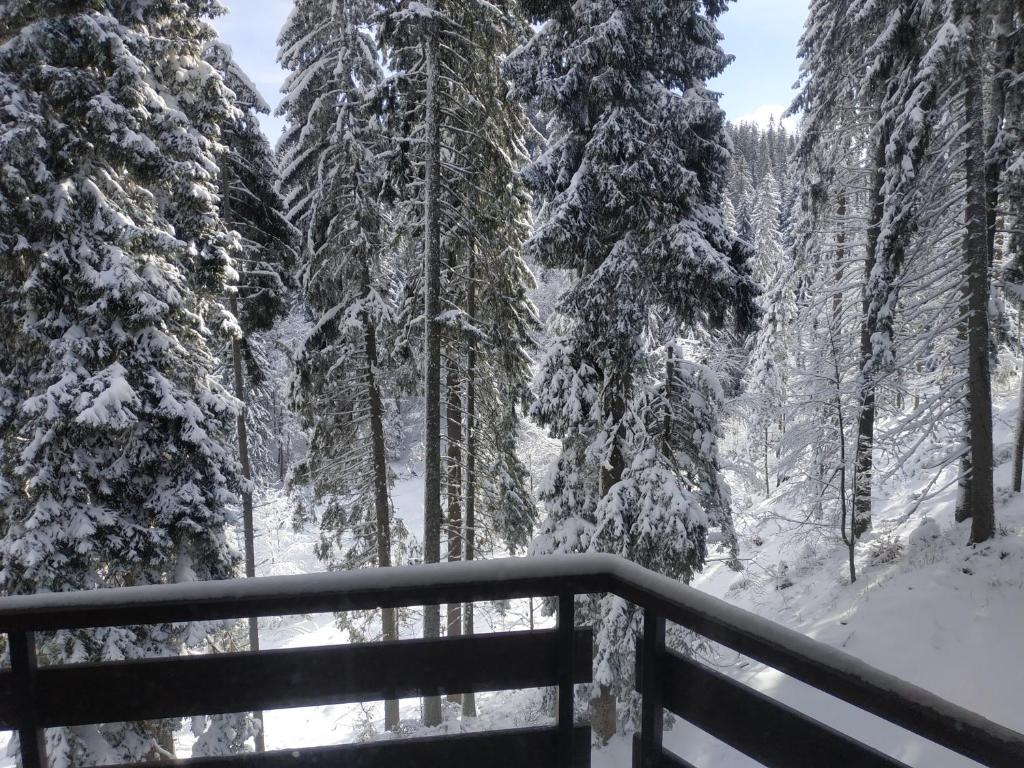 Ski & Holiday Apartments in Pamporovo photo 1