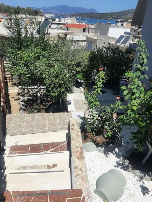 Elena's Sunny House photo 3