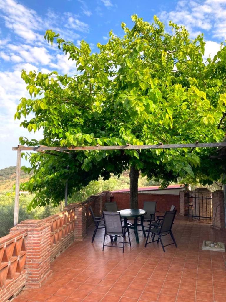 Finca Villa Coral photo 4